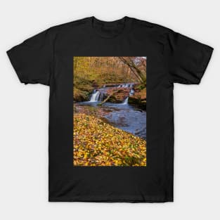 Afon Nedd Fechan, Brecon Beacons T-Shirt